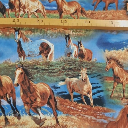 Freedom Range Horses